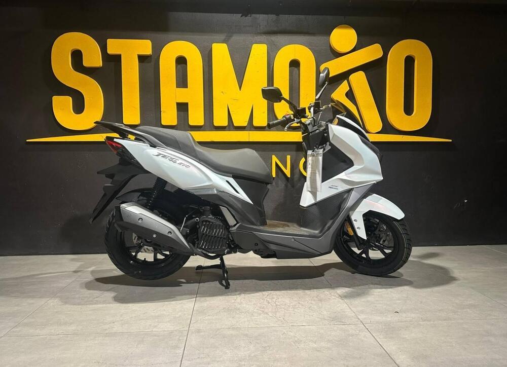 Sym Jet 14 125 CBS LC EVO (2024 - 25)