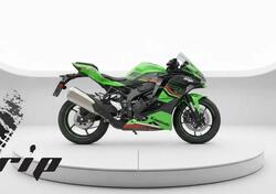 Kawasaki Ninja ZX-4RR (2024 - 26) usata