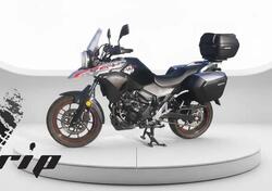 Suzuki V-Strom 250 (2017 - 20) usata
