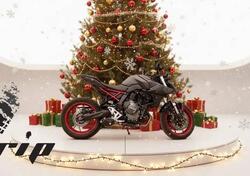 Suzuki GSX-8S (2025) usata