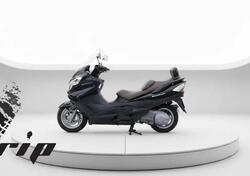 Suzuki Burgman AN 400 Limited Edition (2006 - 09) usata