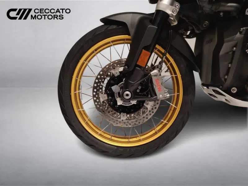 Bmw R 1300 GS Option 719 Tramuntana (2023 - 26) (9)