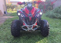 Can-Am Brp Renegade 800 EFI usata