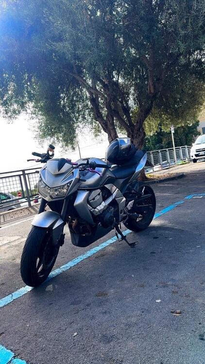 Kawasaki Z 750 (2007 - 14)