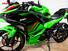 Kawasaki Ninja 500 SE (2024 - 26) (9)
