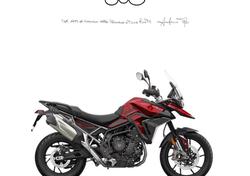 Triumph Tiger 900 GT (2024 - 25) usata