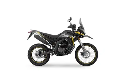 Voge Valico 300 Rally (2022 - 26) nuova