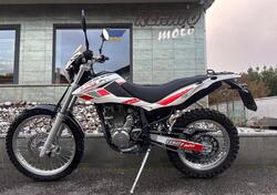 Betamotor Alp 4.0 (2008 - 17) usata