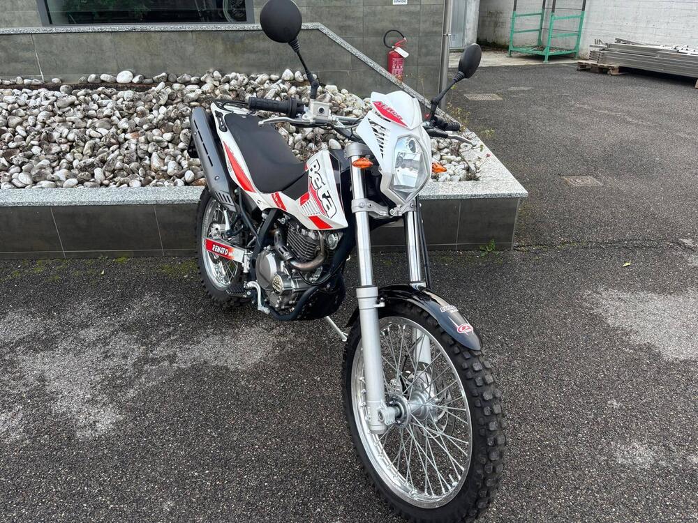 Betamotor Alp 4.0 (2008 - 17) (5)