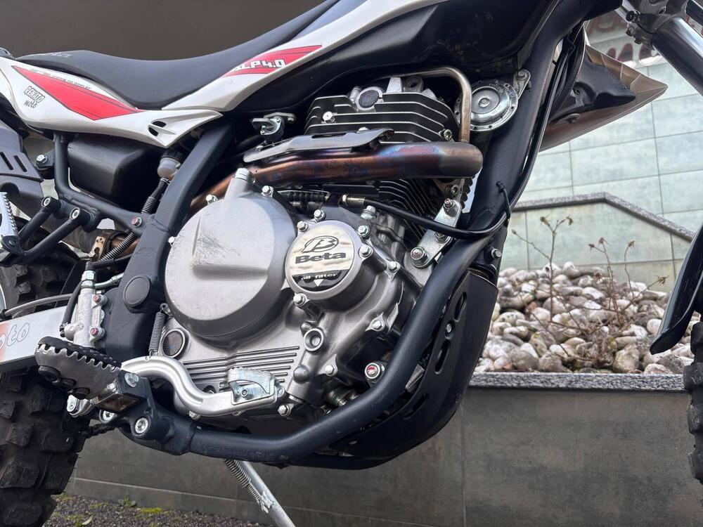 Betamotor Alp 4.0 (2008 - 17) (4)