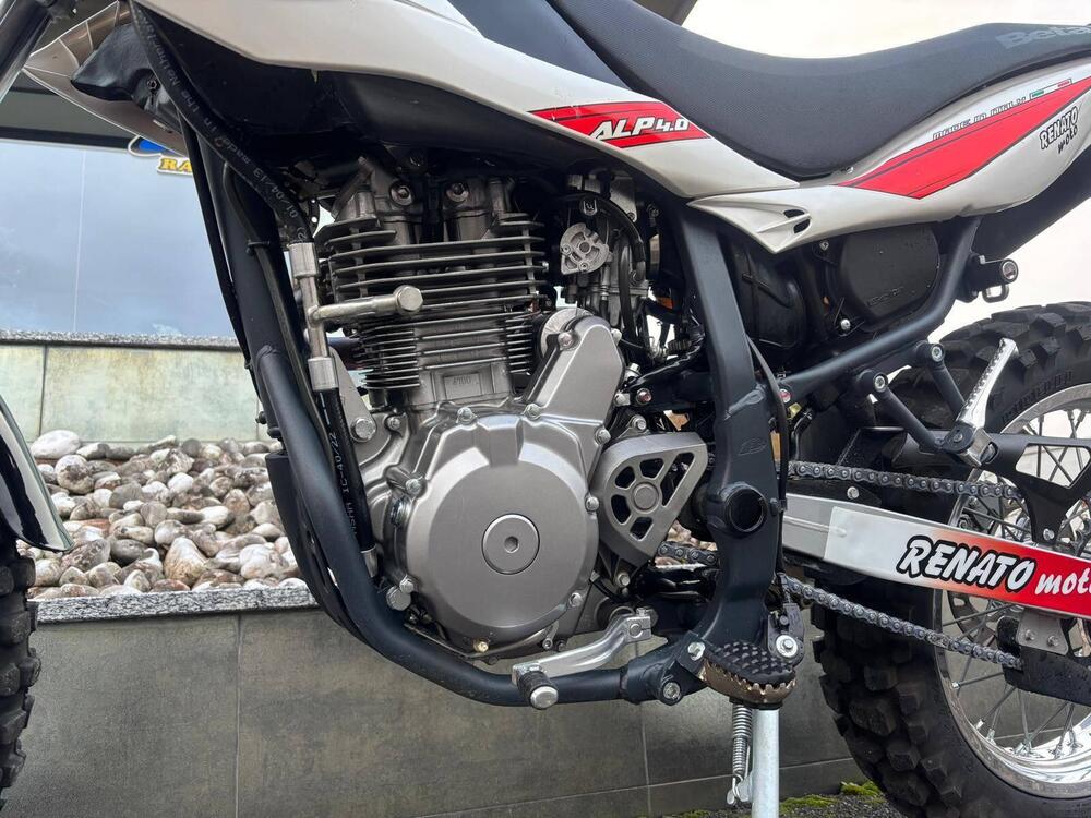 Betamotor Alp 4.0 (2008 - 17) (3)