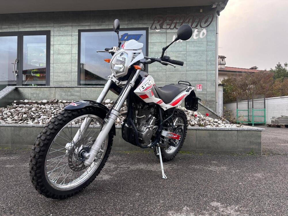 Betamotor Alp 4.0 (2008 - 17) (2)