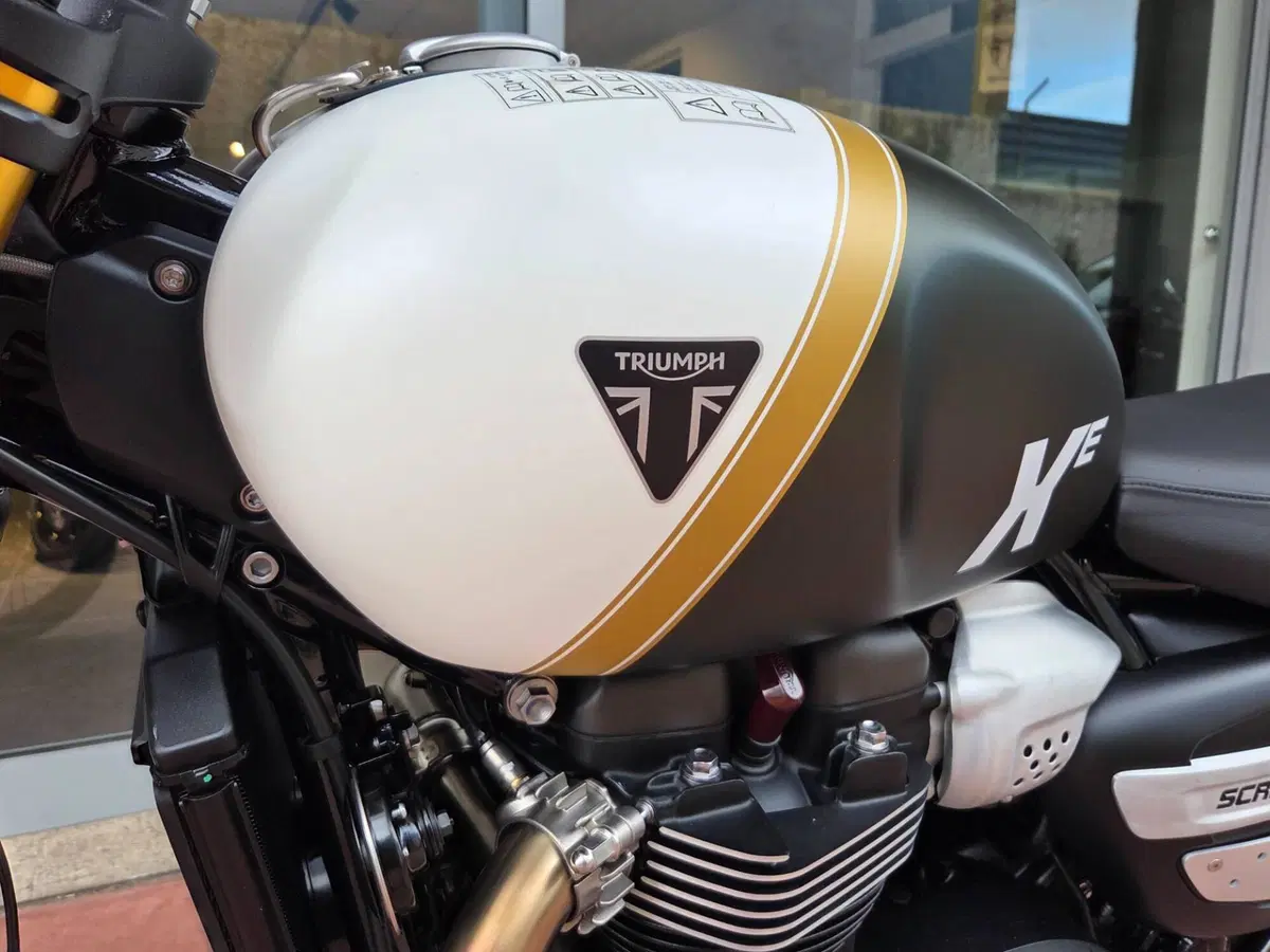 Triumph Scrambler 1200 XE (2026) (16)
