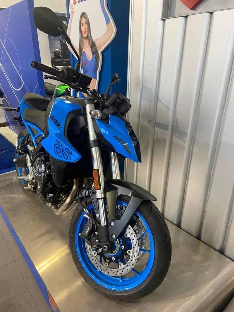 Suzuki GSX-8S (2023 - 24) (2)