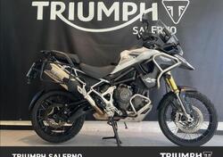 Triumph Tiger 1200 Rally Pro (2022 - 23) usata