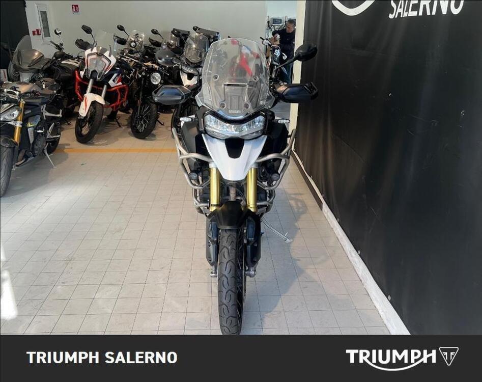Triumph Tiger 1200 Rally Pro (2022 - 23) (3)
