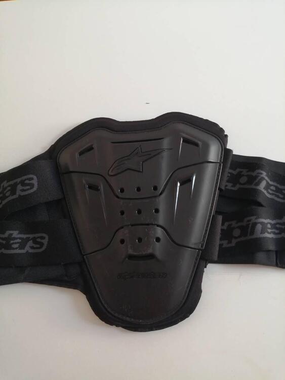 ALPINESTARS - paraschiena Bionic Street (3)