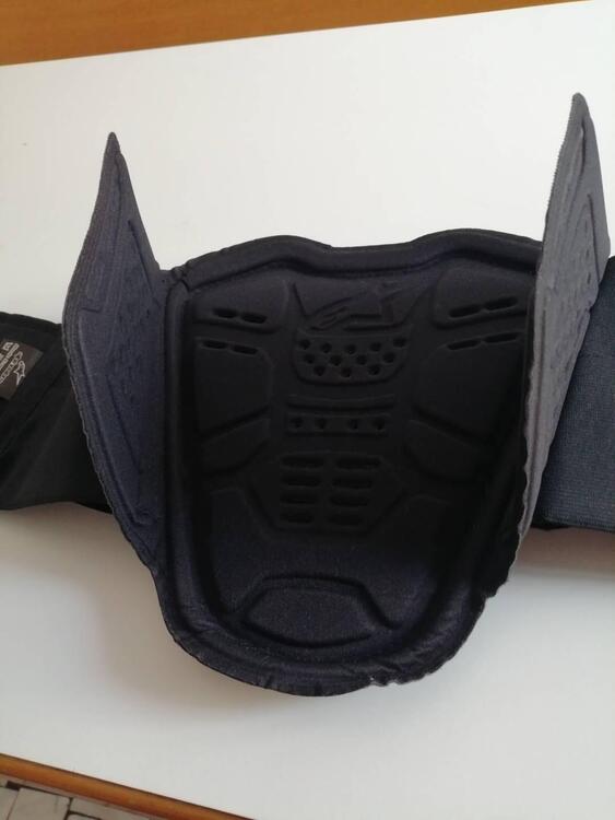 ALPINESTARS - paraschiena Bionic Street (4)