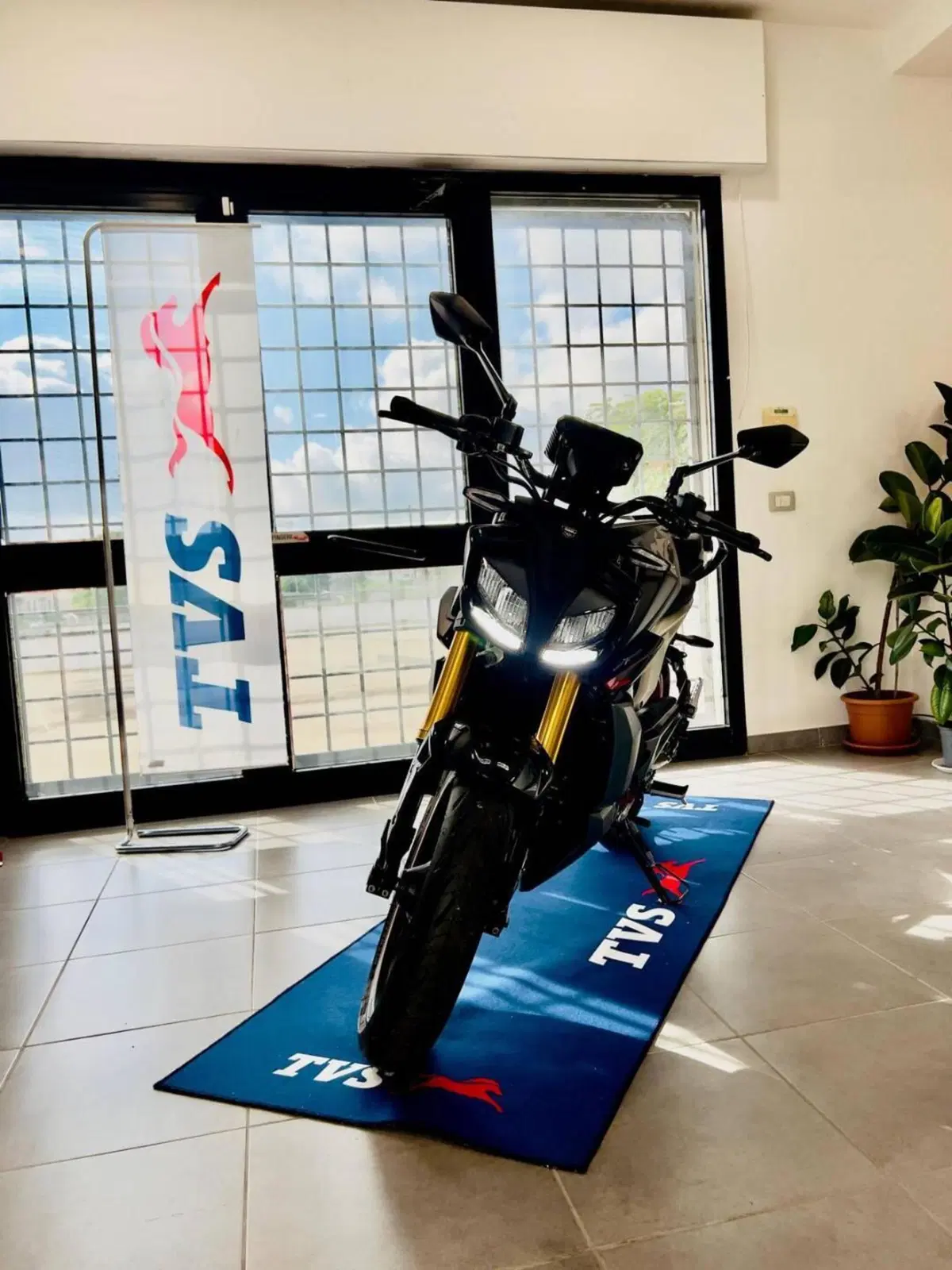 TVS Motor RTR 310 (2024 - 26)