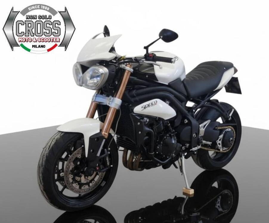 Triumph Speed Triple 1050 (2011 - 13) (3)