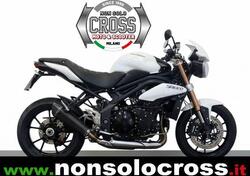 Triumph Speed Triple 1050 (2011 - 13) usata