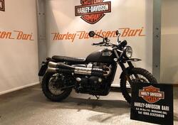 Triumph Street Scrambler 900 (2019 - 20) usata