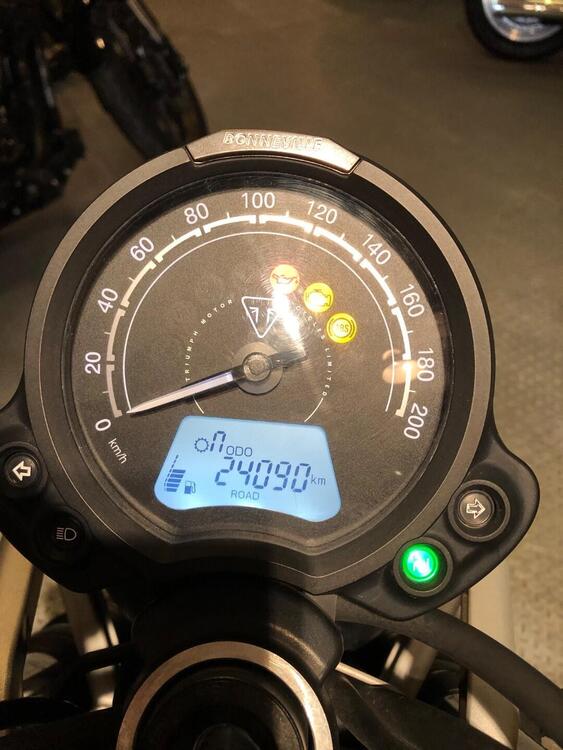 Triumph Street Scrambler 900 (2019 - 20) (4)