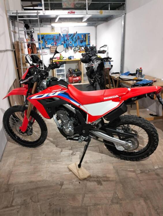 Honda CRF 300 L (2021 - 24) (3)