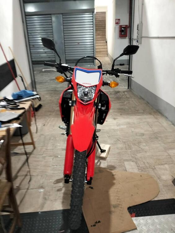 Honda CRF 300 L (2021 - 24) (4)
