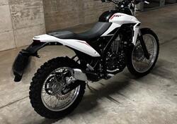 Betamotor Alp 4.0 (2024 - 25) usata