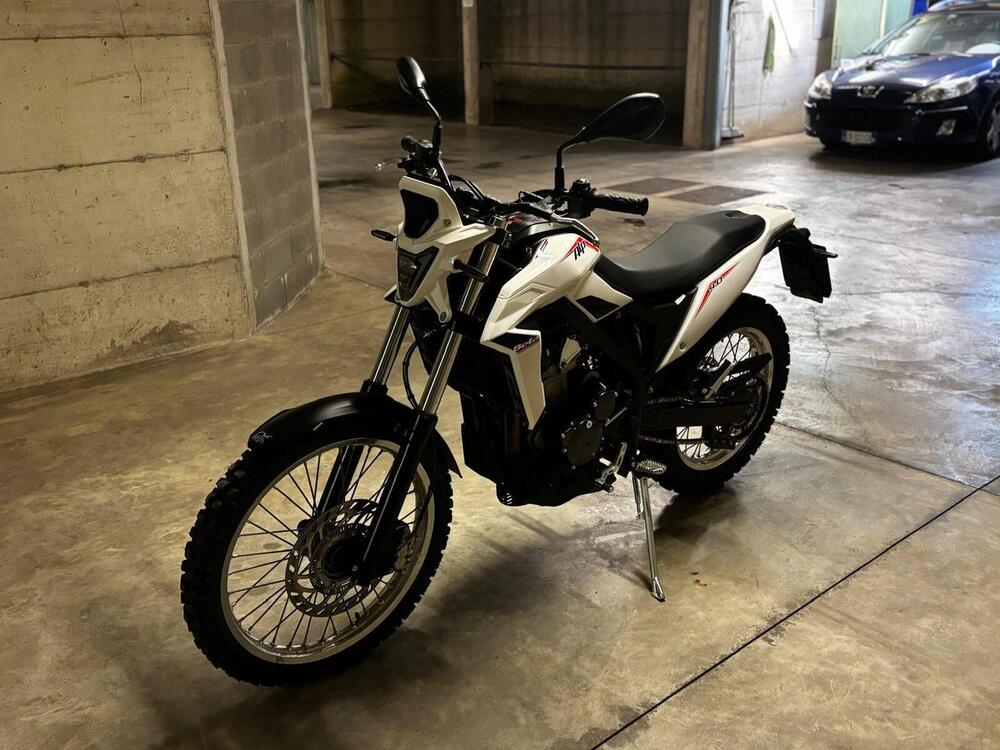 Betamotor Alp 4.0 (2024 - 25) (4)