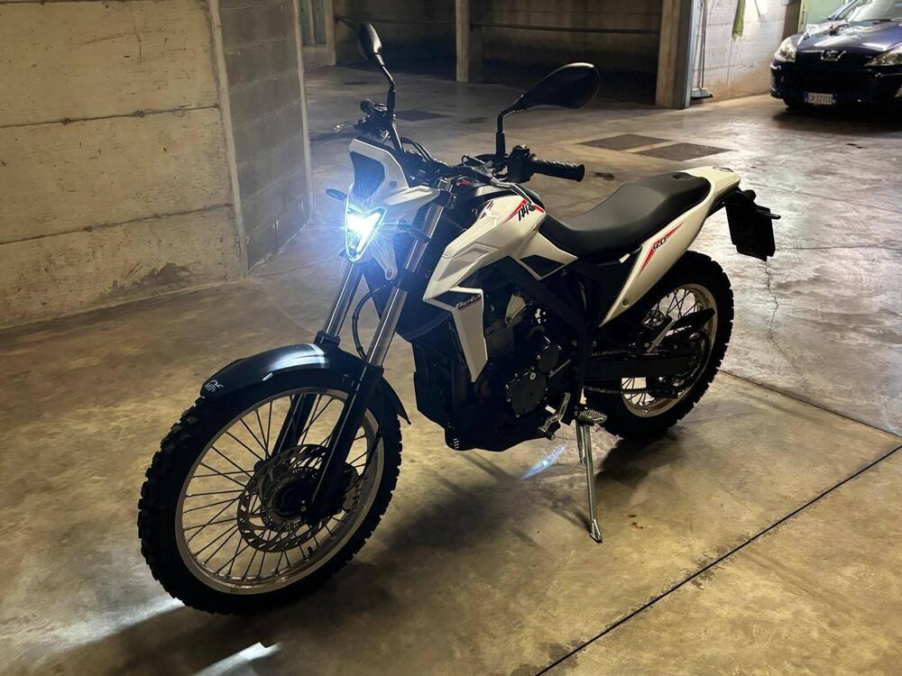 Betamotor Alp 4.0 (2024 - 25) (5)