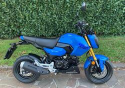 Honda MSX 125 Grom (2021 - 25) usata
