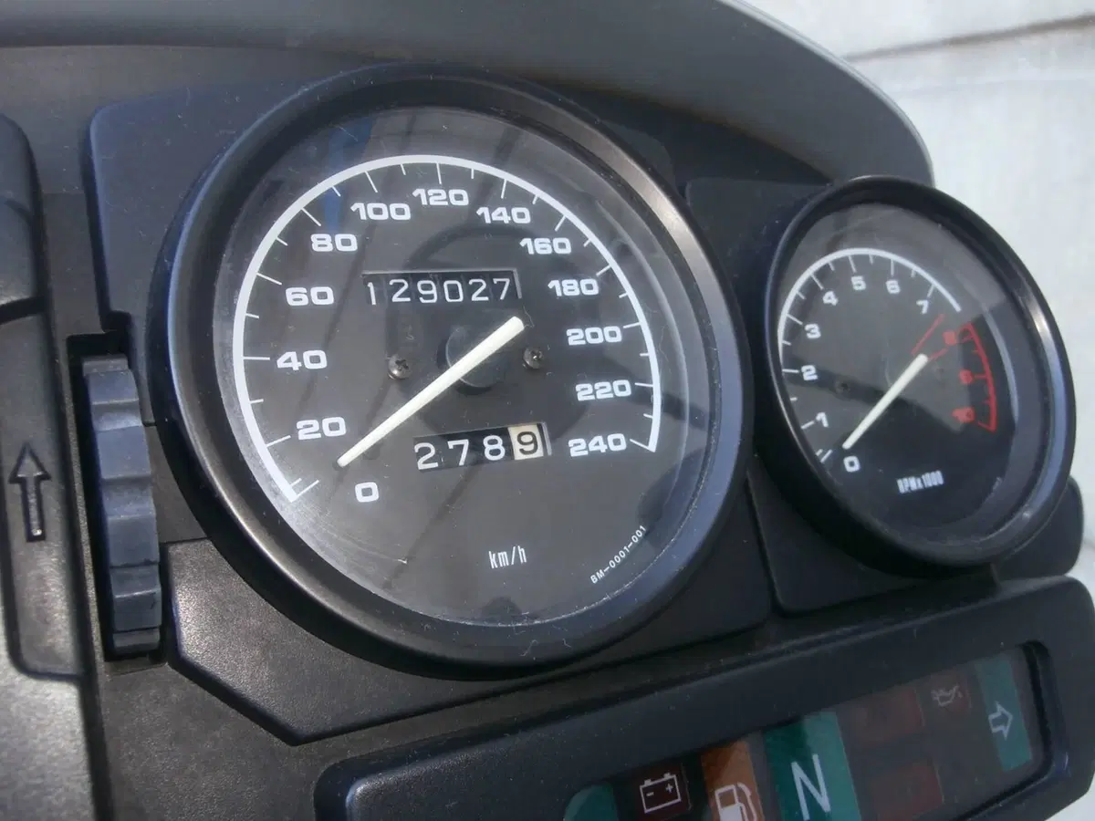 Bmw R 1150 GS (1999 - 03) (19)
