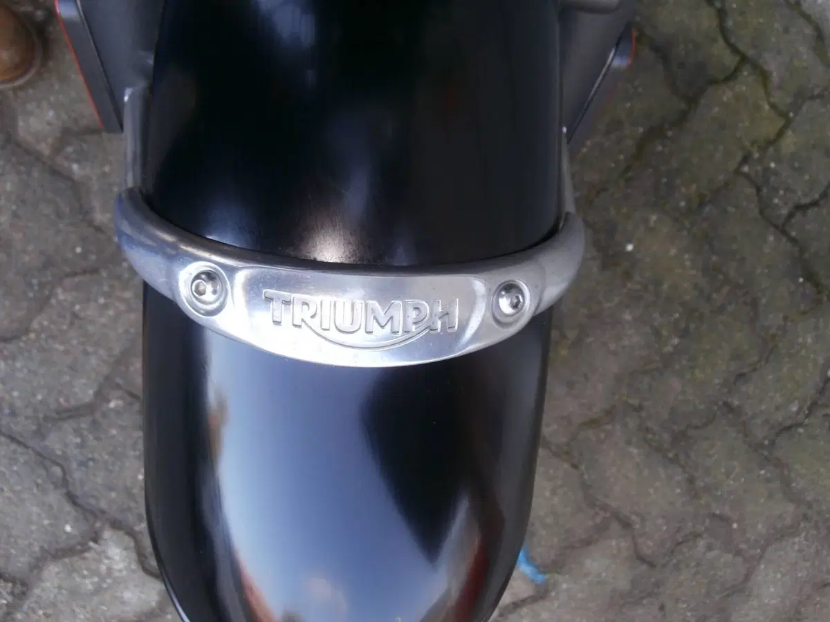 Triumph Bonneville T120 (2016 - 20) (14)