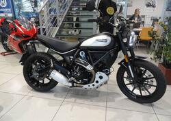 Ducati Scrambler 800 Icon Dark (2021 - 22) usata