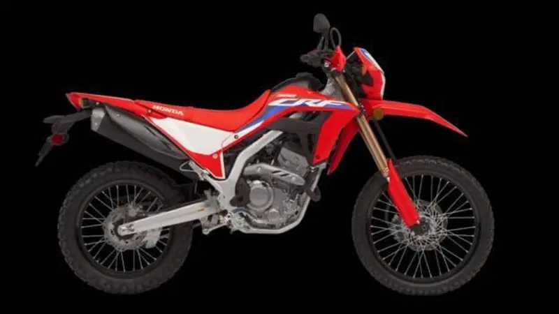 Honda CRF 300L (2025 - 26)