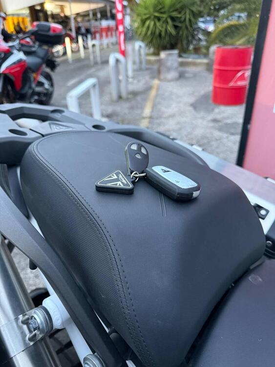 Triumph Tiger 1200 Rally Pro (2022 - 23) (5)