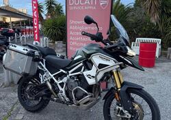 Triumph Tiger 1200 Rally Pro (2022 - 23) usata