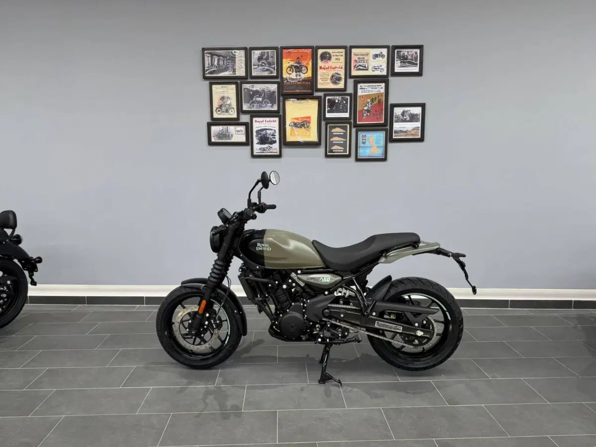 Royal Enfield Guerrilla 450 (2024 - 26)
