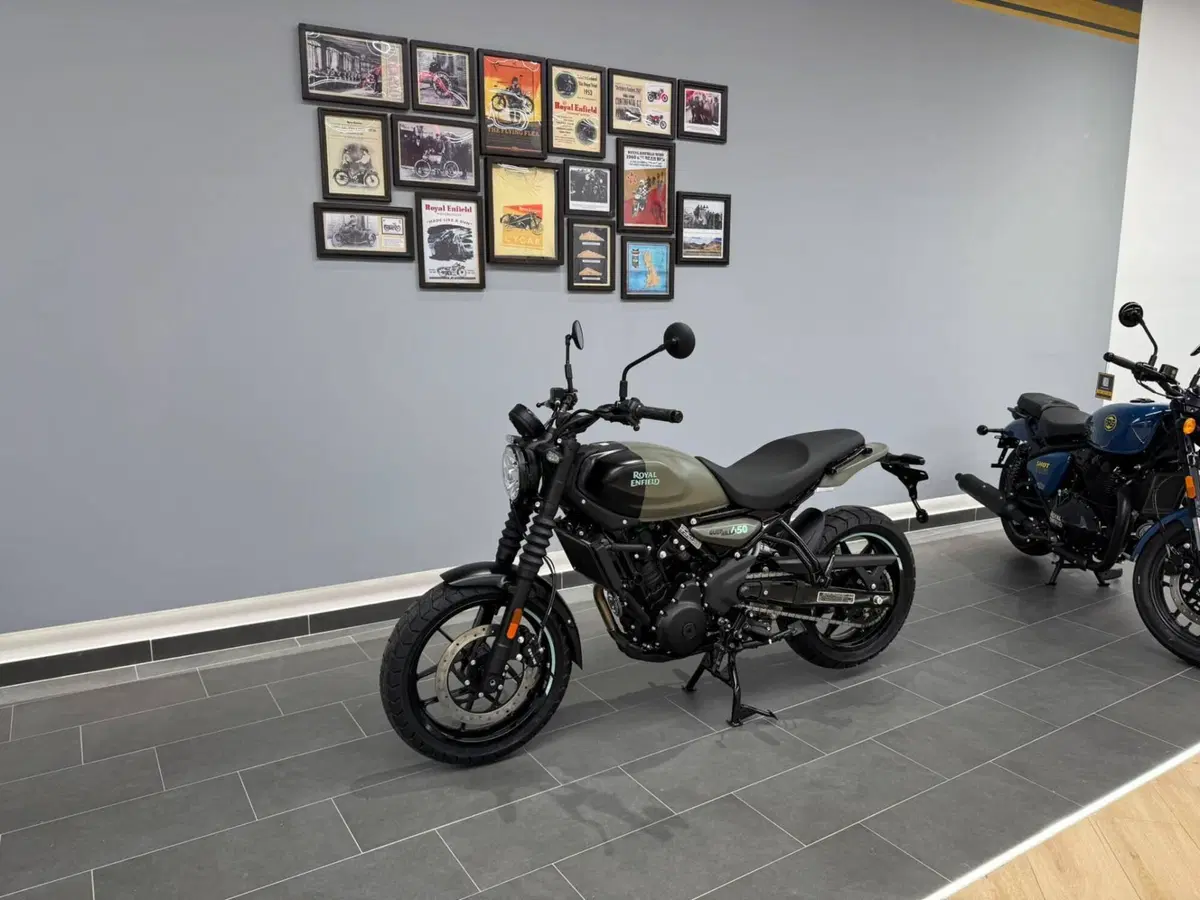 Royal Enfield Guerrilla 450 (2024 - 26) (3)