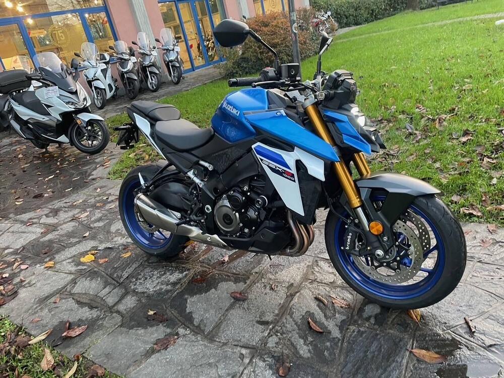 Suzuki GSX-S1000 (2021 - 25) (3)