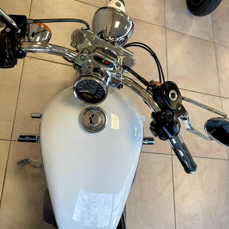 Harley-Davidson 883 Low (2008 - 12) - XL 883L (3)