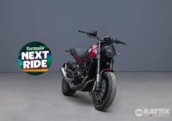 Benelli Leoncino 500 (2021 - 25) nuova