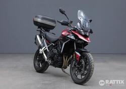 Triumph Tiger 900 GT (2024 - 25) usata