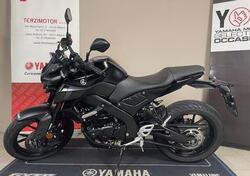 Yamaha MT-125 (2021 - 24) usata