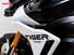 Triumph Tiger 900 Rally Pro (2024 - 25) (13)