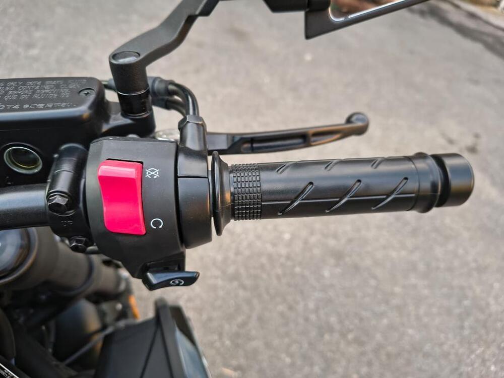 Honda CB 650 R (2021 - 23) (5)