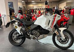 Ducati DesertX (2022 - 25) usata