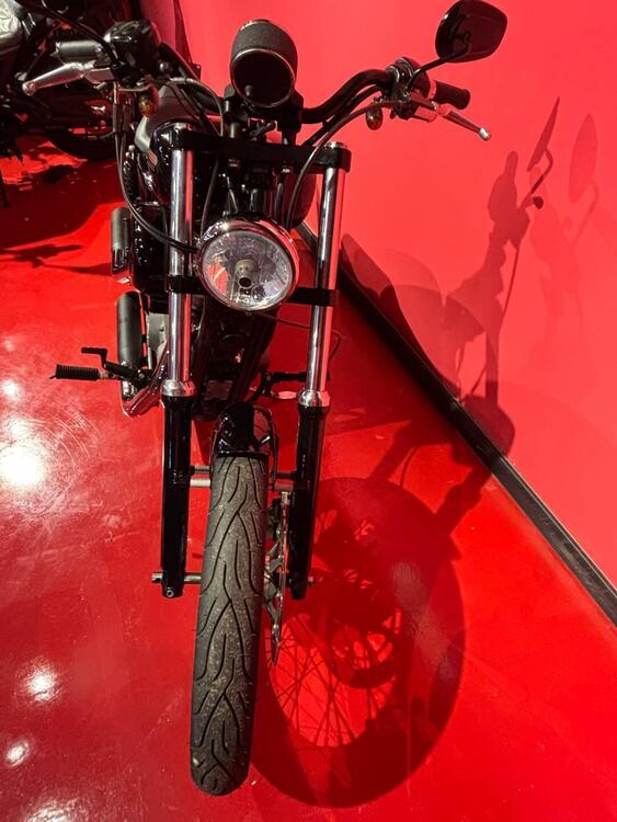 Harley-Davidson 1200 Custom (2004 - 06) - XL 1200C (4)